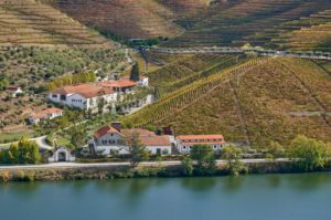 wine estate, winery, vineyard, Douro River, Portugal wine estate, winery, vineyard, Douro River, Portugal